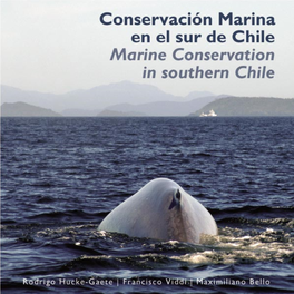 Conservación Marina En El Sur De Chile Marine Conservation in Southern Chile