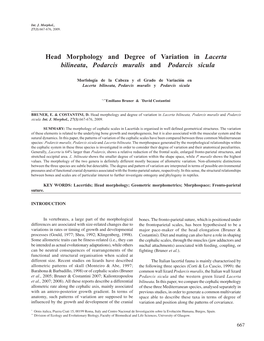 Head Morphology and Degree of Variation in Lacerta Bilineata, Podarcis Muralis and Podarcis Sicula