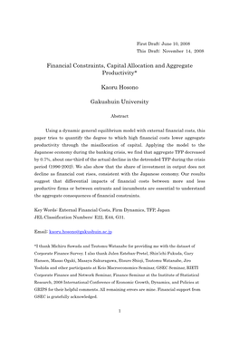 Financial Constraints, Capital Allocation and Aggregate Productivity*