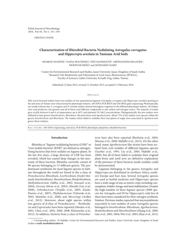 Characterization of Rhizobial Bacteria Nodulating Astragalus Corrugatus and Hippocrepis Areolata in Tunisian Arid Soils