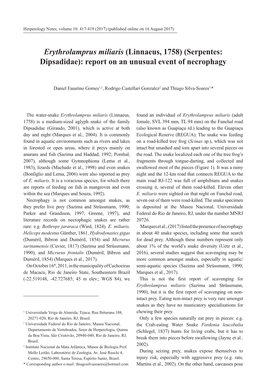 Erythrolamprus Miliaris (Linnaeus, 1758) (Serpentes: Dipsadidae): Report on an Unusual Event of Necrophagy