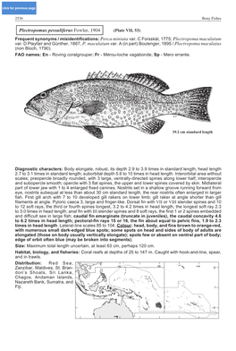 Plectropomus Pessuliferus Fowler, 1904 (Plate VII, 53) Frequent Synonyms / Misidentifications: Perca Miniata Var