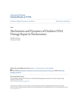 Mechanisms and Dynamics of Oxidative DNA Damage Repair in Nucleosomes Wendy J