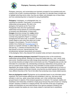 Phylogeny, Taxonomy, and Nomenclature - a Primer