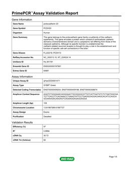 Primepcr™Assay Validation Report