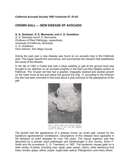 Crown Gall — New Disease of Avocado