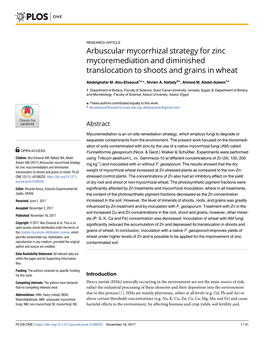 Arbuscular Mycorrhizal Strategy for Zinc Mycoremediation and Diminished Translocation to Shoots and Grains in Wheat