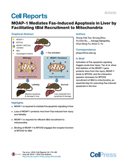 MOAP-1 Mediates Fas-Induced Apoptosis in Liver by Facilitating Tbid Recruitment to Mitochondria