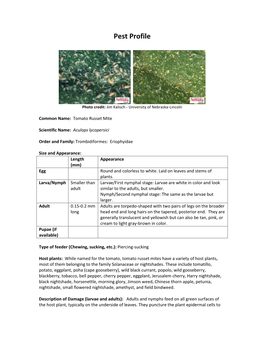 Tomato Russet Mite