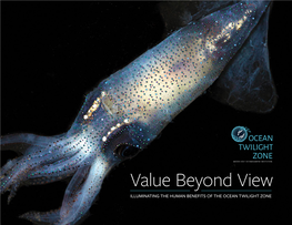 Value Beyond View ILLUMINATING the HUMAN BENEFITS of the OCEAN TWILIGHT ZONE KEY TAKEAWAYS