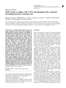 EGR-1 Forms a Complex with YAP-1 and Upregulates Bax Expression in Irradiated Prostate Carcinoma Cells