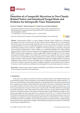 Detection of a Conspecific Mycovirus in Two Closely Related Native And