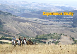 Experience Sicily – on Horseback the Mountains Extend Their Rolling Formations All the Way to the Horizon