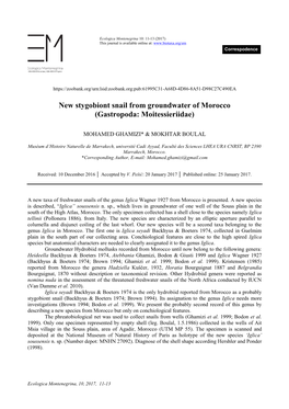 New Stygobiont Snail from Groundwater of Morocco (Gastropoda: Moitessieriidae)