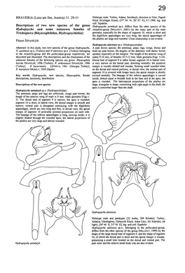 29-31 Descriptions of Two New Species of the Genus