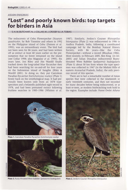 "Lost" and Poorly Known Birds: Top Targets for Birders in Asia
