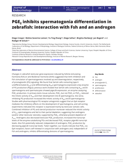 PGE Inhibits Spermatogonia Differentiation in Zebrafish