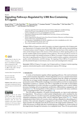 Signaling Pathways Regulated by UBR Box-Containing E3 Ligases