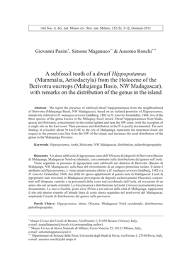 A Subfossil Tooth of a Dwarf Hippopotamus (Mammalia