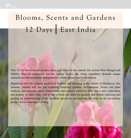 This 12 Day Horticultural Journey Takes You Closer to the Natural Life Around West Bengal and Sikkim. Weaved Exclusively For
