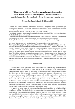 Heteroptera: Thaumastocoridae) and First Record of the Subfamily from the Eastern Hemisphere