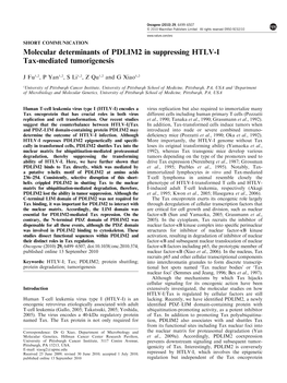 Molecular Determinants of PDLIM2 in Suppressing HTLV-I Tax-Mediated Tumorigenesis