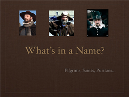 What's in a Name?