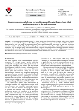 Caryopsis Micromorphological Survey of the Genus Themeda (Poaceae) and Allied Spathaceous Genera in the Andropogoneae