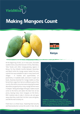 Technoserve Mango Value Chain, Kenya