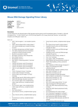 Mouse DNA Damage Signaling Primer Library