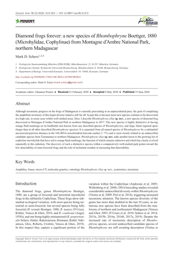 Diamond Frogs Forever: a New Species of Rhombophryne Boettger, 1880 (Microhylidae, Cophylinae) from Montagne D’Ambre National Park, Northern Madagascar