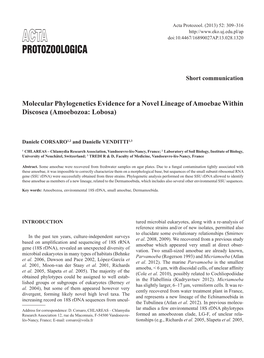 Molecular Phylogenetics Evidence for a Novel Lineage of Amoebae Within Discosea (Amoebozoa: Lobosa)