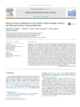 Effects of Ocean Acidification on the Marine Calcium Isotope Record at the Paleocene–Eocene Thermal Maximum