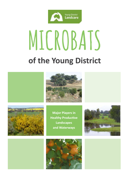 MICROBATS of the Young District