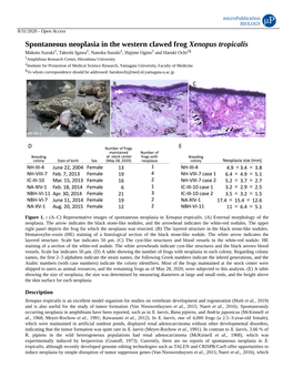 Spontaneous Neoplasia in the Western Clawed Frog Xenopus Tropicalis
