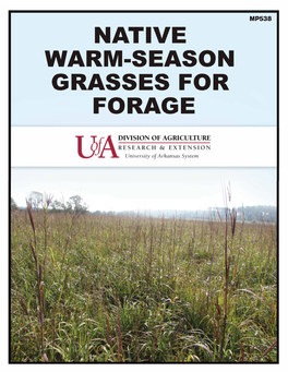 Native Warm-Season Grasses for Forage