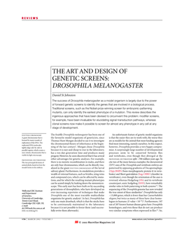 The Art and Design of Genetic Screens: Drosophila Melanogaster