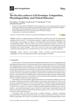 The Bacillus Anthracis Cell Envelope: Composition, Physiological Role, and Clinical Relevance