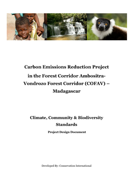 Carbon Emissions Reduction Project in the Forest Corridor Ambositra- Vondrozo Forest Corridor (COFAV) – Madagascar