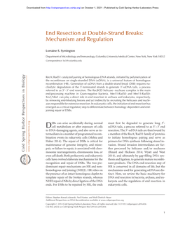 End Resection at Double-Strand Breaks: Mechanism and Regulation