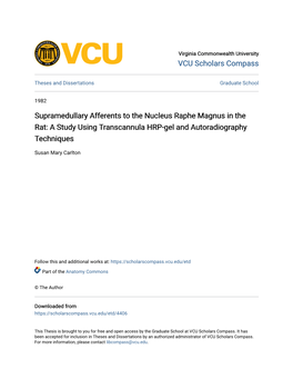 Supramedullary Afferents to the Nucleus Raphe Magnus in the Rat: a Study Using Transcannula HRP-Gel and Autoradiography Techniques