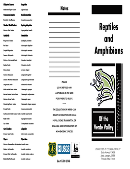 Reptiles and Amphibians of the Verde Valley