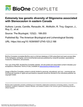 Extremely Low Genetic Diversity of Stigonema Associated with Stereocaulon in Eastern Canada