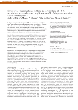 Structure of Mammalian Ornithine Decarboxylase at 1.6 Å Resolution: Stereochemical Implications of PLP-Dependent Amino Acid