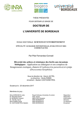 Docteur De L'université De Bordeaux