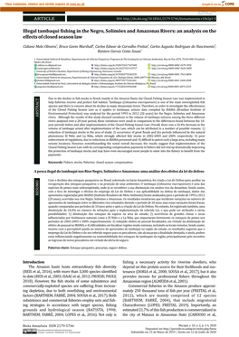 Illegal Tambaqui Fishing in the Negro, Solimões and Amazonas Rivers: an Analysis on the Effects of Closed Season Law