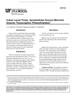 Cuban Laurel Thrips, Gynaikothrips Ficorum (Marchal) (Insecta: Thysanoptera: Phlaeothripidae)1