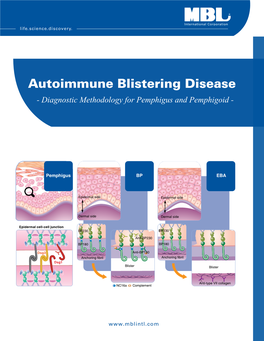 Autoimmune Blistering Disease - Diagnostic Methodology for Pemphigus and Pemphigoid