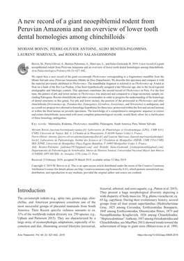 A New Record of a Giant Neoepiblemid Rodent from Peruvian Amazonia and an Overview of Lower Tooth Dental Homologies Among Chinchilloids