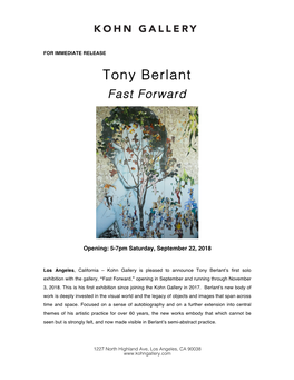 Tony Berlant Fast Forward